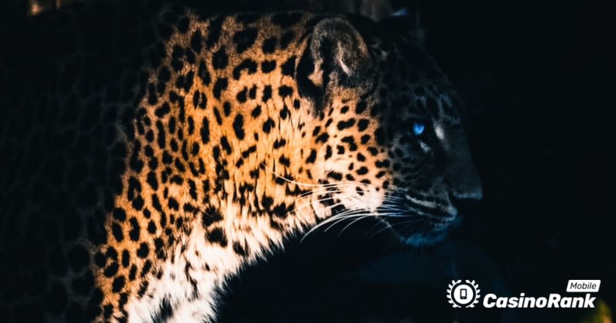 Yggdrasil Partners ReelPlay Ù„Ø¥Ø·Ù„Ø§Ù‚ Jaguar SuperWays Ù…Ù† Bad Dingo